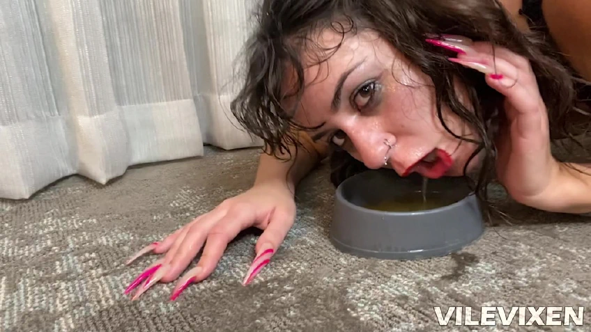 VILE THE CAT FOOD SNIFFER